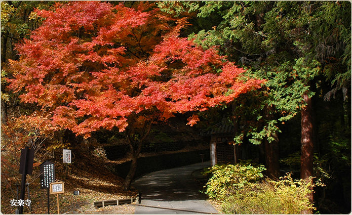 安楽寺