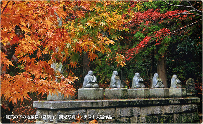 常楽寺