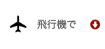 飛行機で