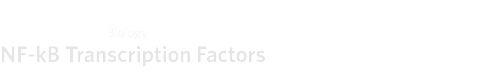 NF-kB Transcription Factors