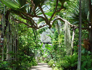 筑波実験植物園：内観