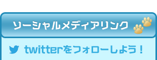 ソーシャルメディアリンク