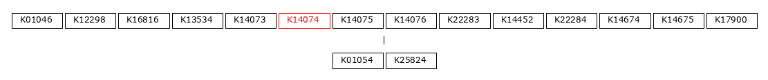 MODULE IMAGE