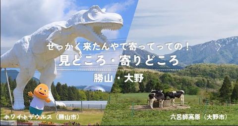 勝山・大野の見どころ寄りどころ