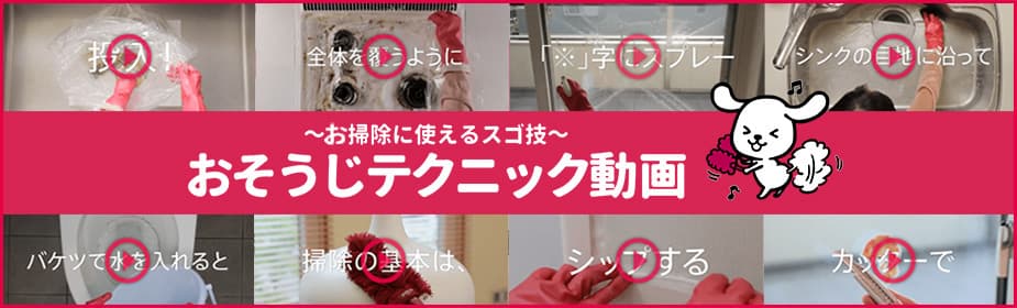 おそうじテクニック動画