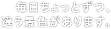 毎日ちょっとずつ、違う景色があります。