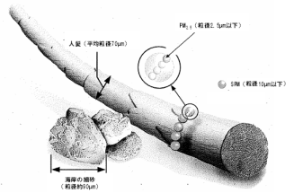 図：PMの大きさ（人髪や海岸細砂）との比較（概念図）