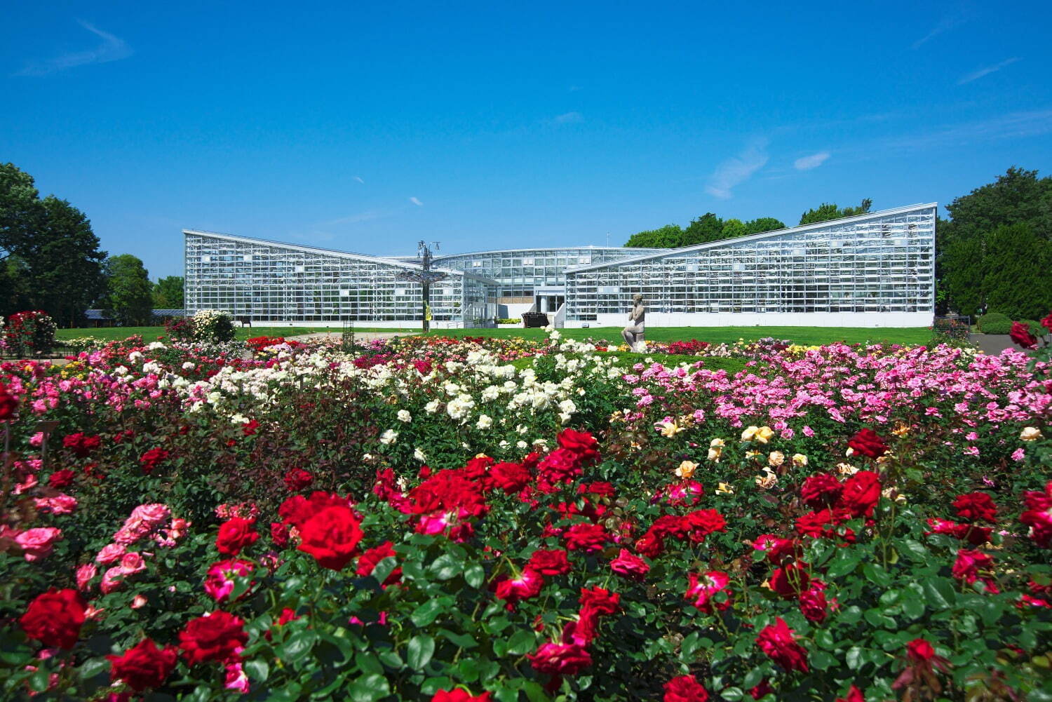 神代植物公園 画像1枚目