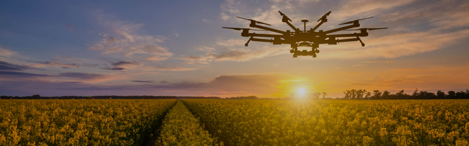 Foto de campo agrícola com por do sol e drone a sobrevoar, alusivo ao programa promove.