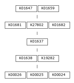 MODULE IMAGE