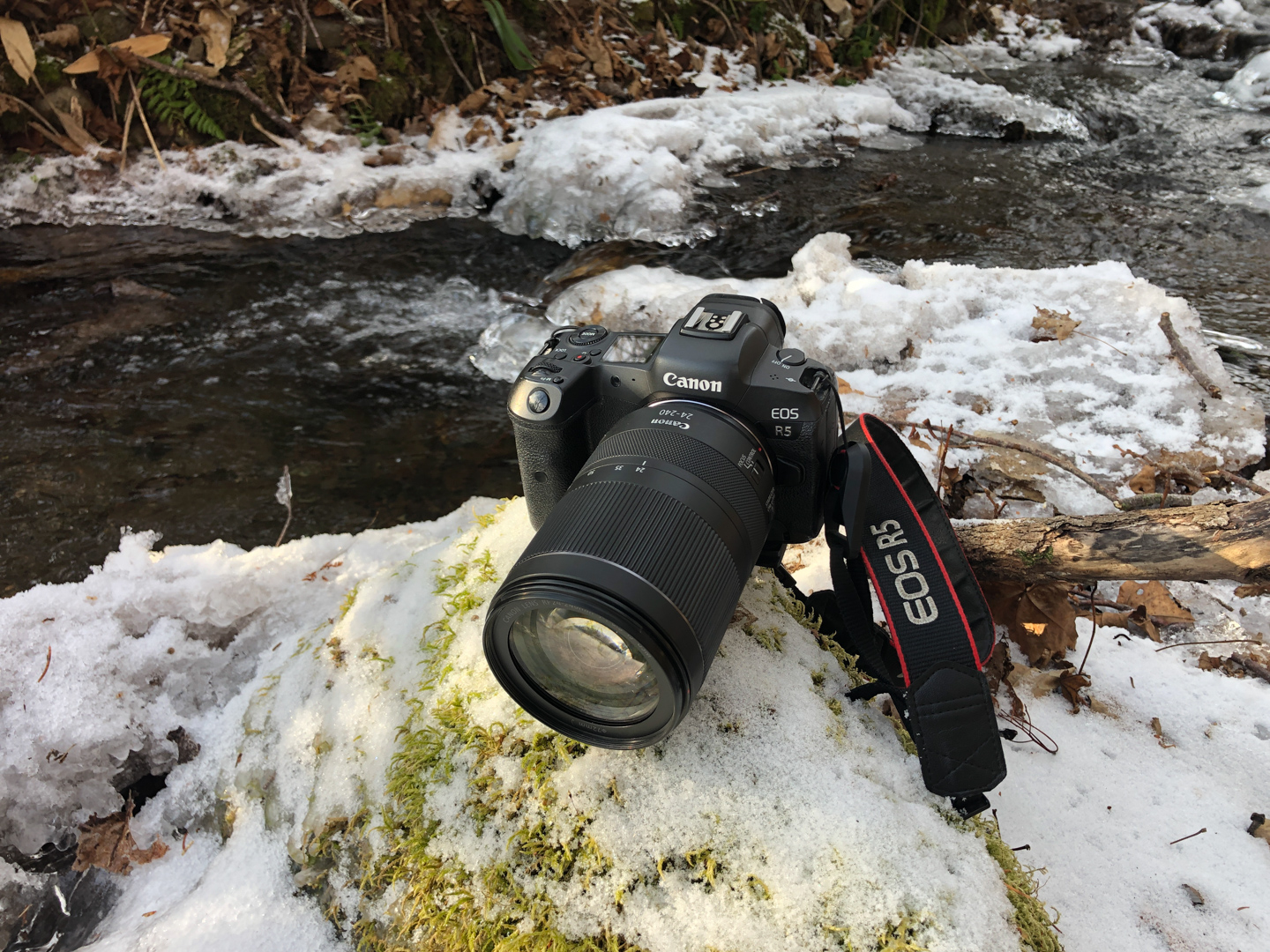 ネイチャースナップのすすめ｜カメラを使いやすくカスタマイズしよう【EOS R5編】