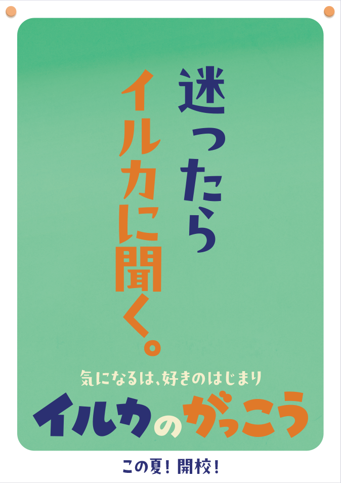 迷ったらイルカに聞く。