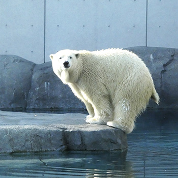 北海道