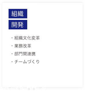 組織開発