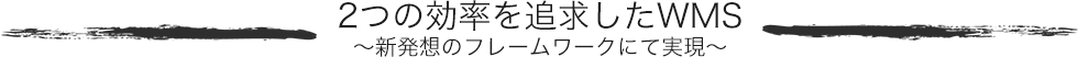 2つの効率を追求したWMS～新発送のフレームワークにて実現～