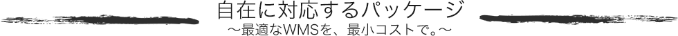 自在に対応するパッケージ～最適なWMSを、最小コストで。～