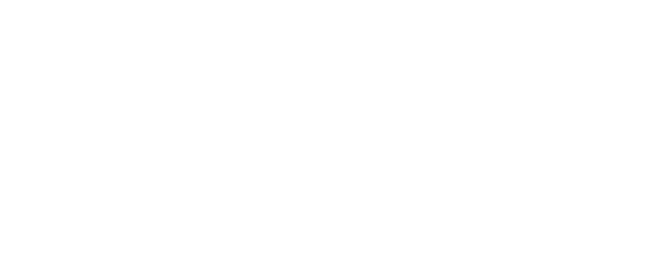 Foresight Essentials Logo