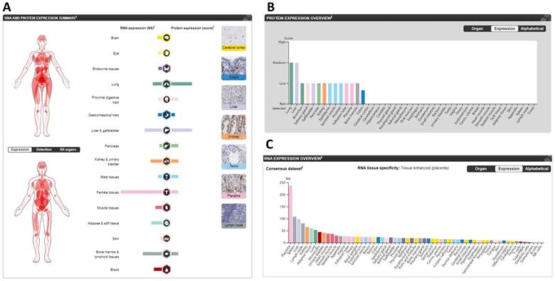 Int J Biol Sci Image