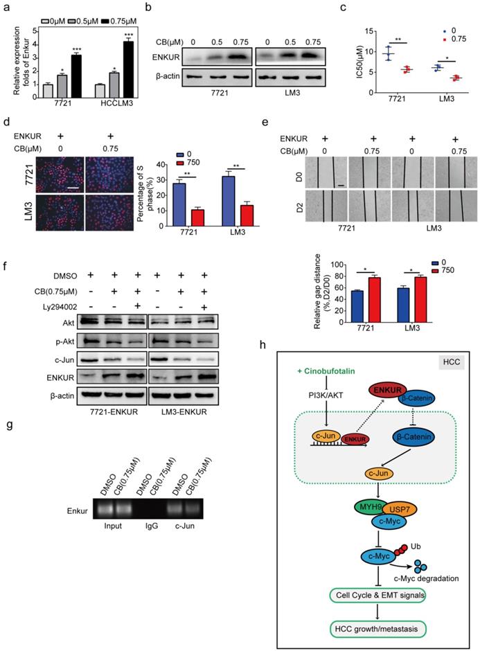 Int J Biol Sci Image