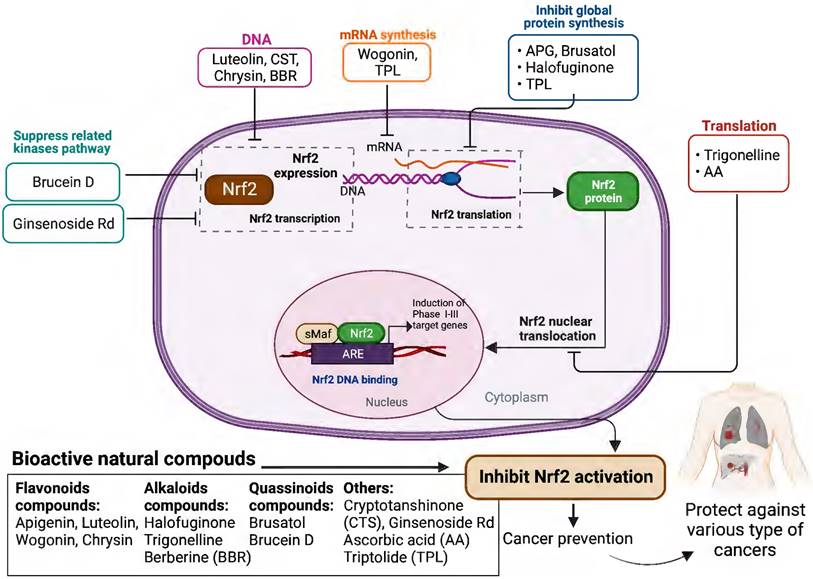 Int J Biol Sci Image