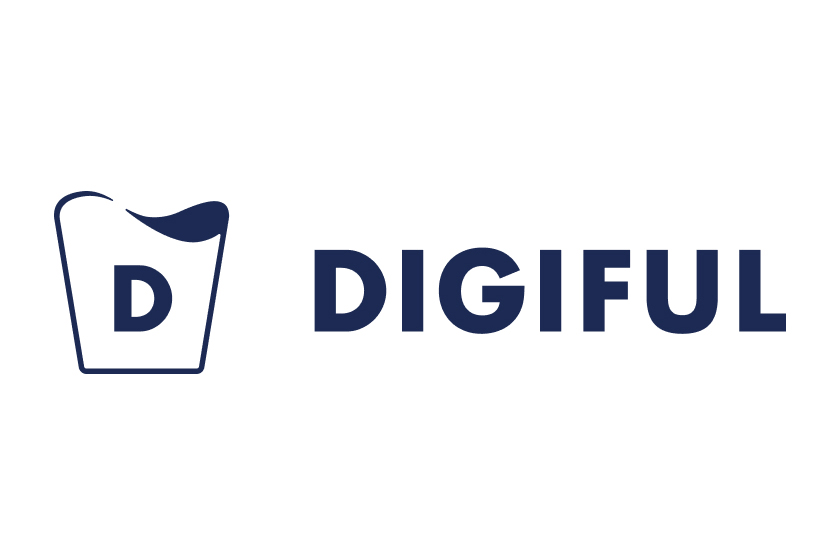 DIGIFUL