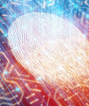 Fingerprint