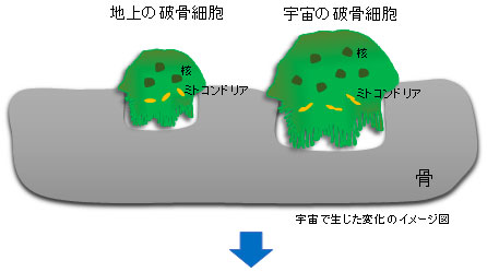 宇宙で生じた変化のイメージ図