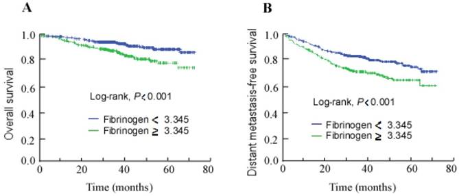 J Cancer Image