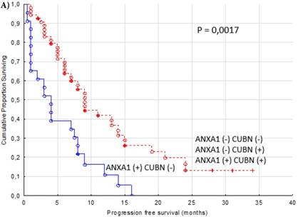 J Cancer Image