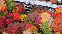 秋色に染まる東福寺