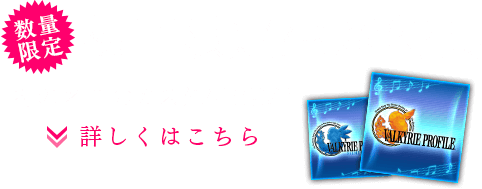 【数量限定】初回限定生産特典　あの名曲のカスタムBGM！　詳しくはこちら