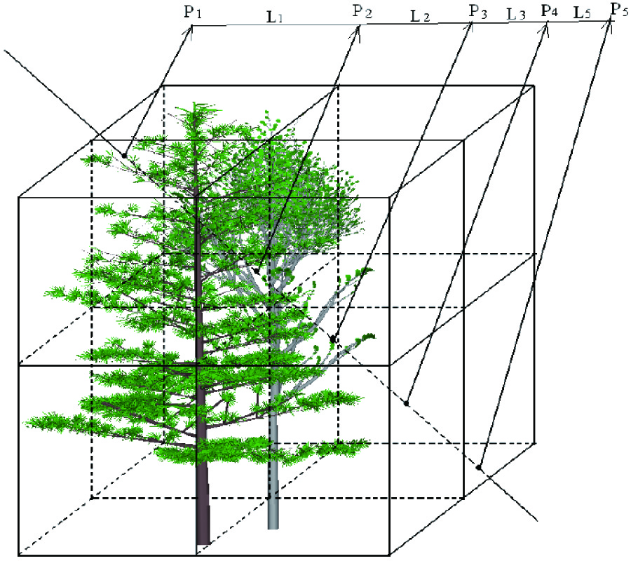 ANALYSIS OF INSAR SENSITIVITY TO FOREST STRUCTURE BASED ON RADAR SCATTERING MODEL