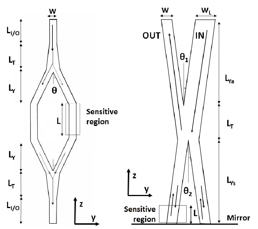 DESIGN AND OPTIMIZATION OF HIGH SENSITIVITY PHOTONIC INTERFEROMETRIC BIOSENSORS ON POLYMERIC WAVEGUIDES