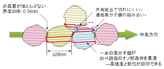 図１０