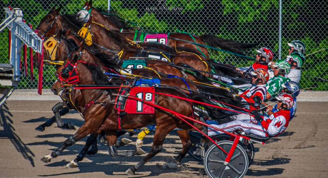 Seven horsemen racing with seven horse, each horse has a different color saddle