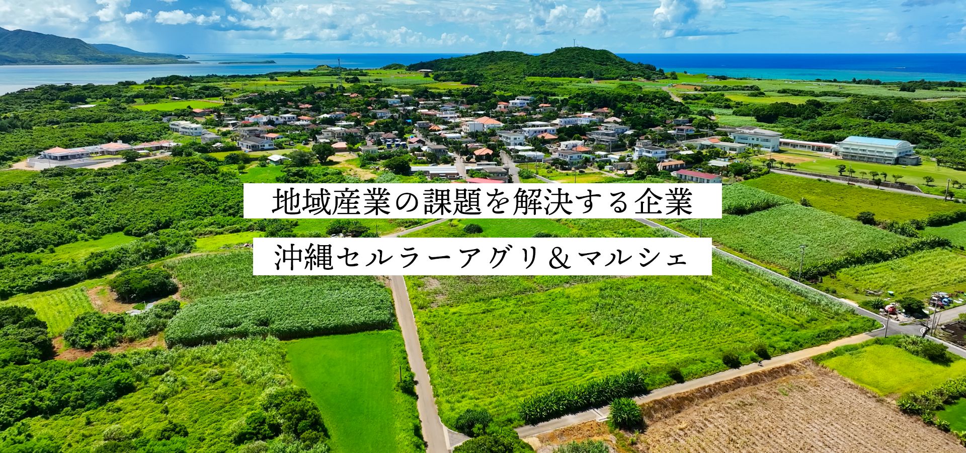 地域産業の課題を解決する企業沖縄セルラーアグリ＆マルシェ