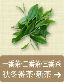 一番茶・二番茶・三番茶・秋冬番茶・新茶