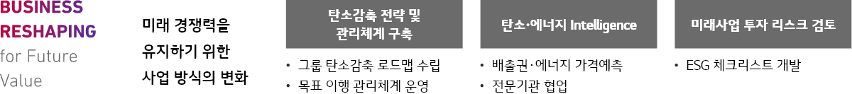 BUSINESS RESHAPING for Future Value 미래 경쟁력을 유지하기 위한 사업 방식의 변화 탄소감축 전략 및 관리체계 구축(그룹 탄소감축 로드맵 수립, 목표 이행 관리체계 운영) 탄소·에너지 Intelligence(배출권·에너지 가격예측, 전문기관 협업) 미래사업 투자 리스크 검토(ESG 체크리스트 개발)