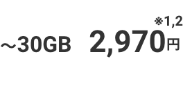 ~30GB 2,970円 ※1,2