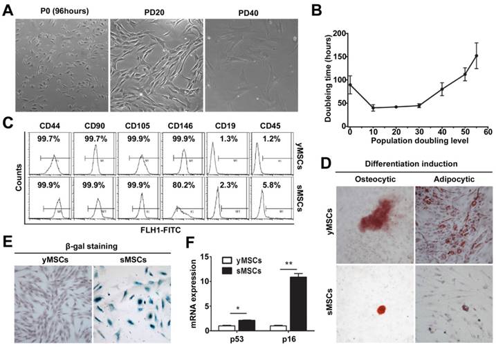 Int J Med Sci Image