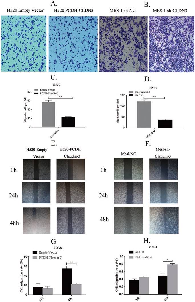 Int J Med Sci Image