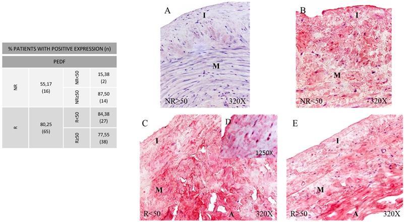 Int J Med Sci Image