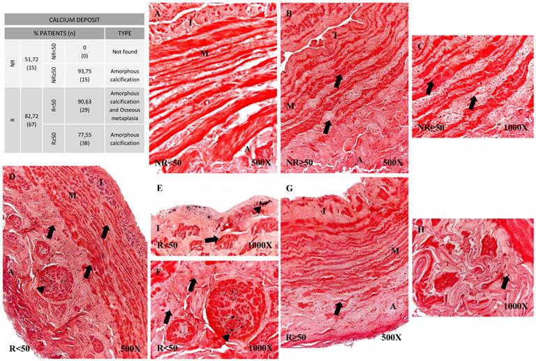 Int J Med Sci Image