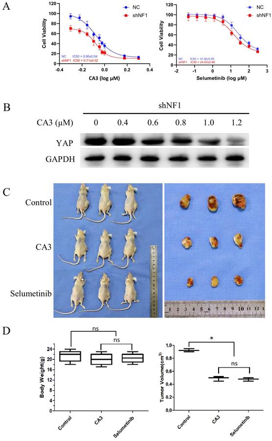 Int J Med Sci Image