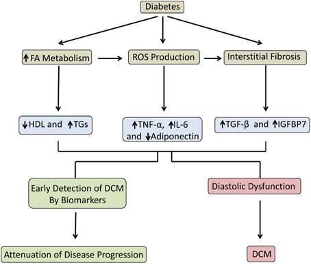 Int J Med Sci Image