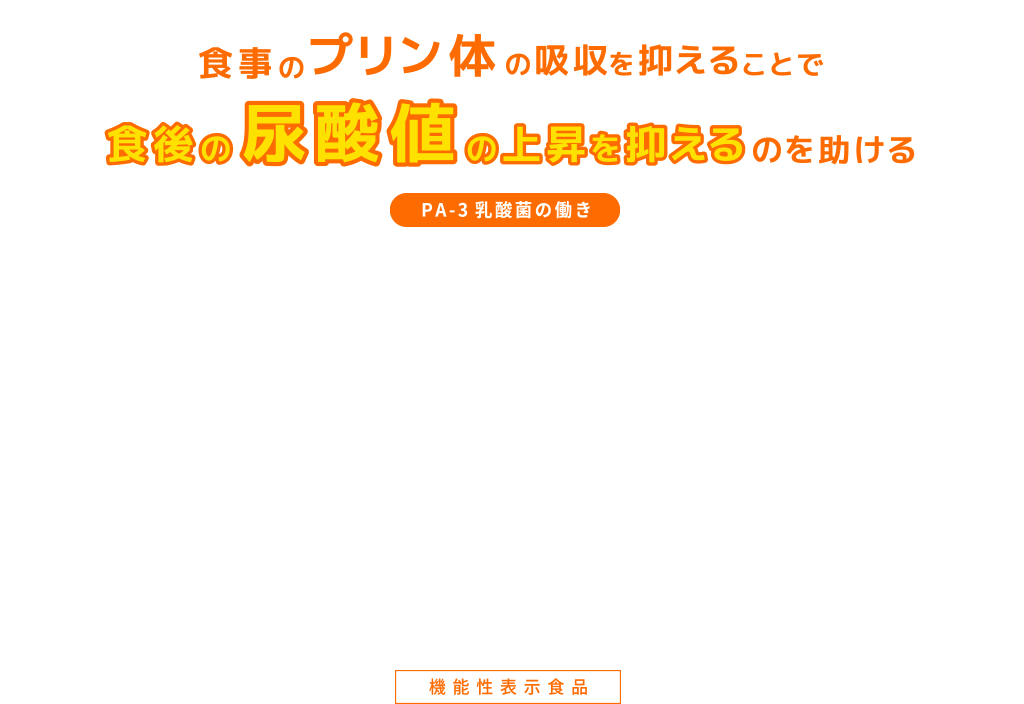 食事のプリン体の吸収を抑えることで食後の尿酸値の上昇を抑えるのを助ける PA-3 乳酸菌の働き 機能性表示食品