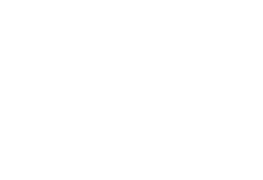 濃い抹茶の味わい