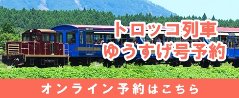 トロッコ列車ゆうすげ号南鉄応援切符（往復券）予約