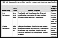 Table 3.2. Common features of the proteins from several structural superfamilies.