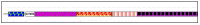 Figure 3.6. ProDom representation of the conserved domains in yeast pyruvate carboxylase PYC1_YEAST.